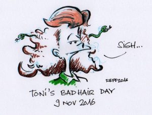 Tonis Bad Hair Day